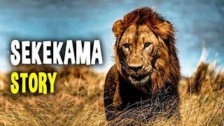 Lion - Sekekama, Colossal King Of Africa (COMPLETE STORY)