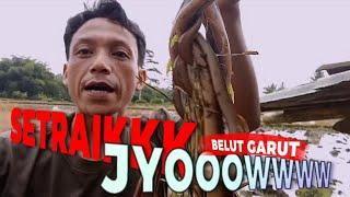 MANCING BELUT D MUSIM HUJAN