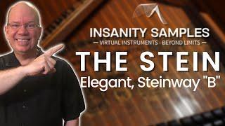 Let's Play THE STEIN From Insanity Samples