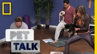 What is Dog Yoga? | Pet Talk