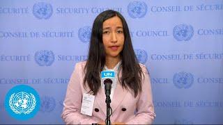 Afghanistan: "Holding the Taliban Accountable" - Security Council Media Stakeout | United Nations