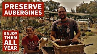 How we preserve aubergines/eggplant in olive oil - Melanzane sott'olio Calabresi recipe