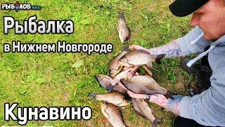 Летняя рыбалка в Нижнем Новгороде 2022. Борский район. Ловля карася в деревне Кунавино