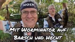 WORMINATOR fängt Barsch/Weißfisch! Und Hecht?