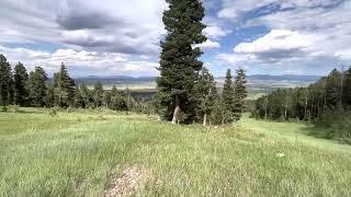 Hiking Abandoned Ski Area In Westcliffe Colorado “Conquistador”