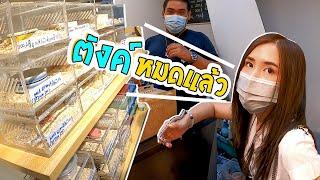 ลองแต่งชุดนักศึกษา เดินซื้อสัตว์แปลก จตุจักร  Buy King Snake Pet Market, Chatuchak, Thailand.