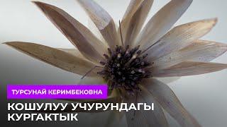 Жыныстык катнаш учурундагы кургактык эмнеден пайда болот?