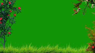 Nature Green Screen / Background Video Effects hd / Green Screen Flowers / Green Screen Effects