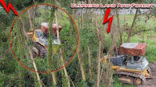 Clearing Land And Forest Tree By Bulldozer KOMATSU Befor Dumtruck Unloading Stone