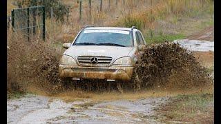 Best Of Mercedes-Benz ML W163