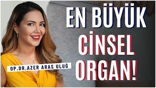 En Büyük Cinsel Organ! I @drazerarasulug #cinsellik