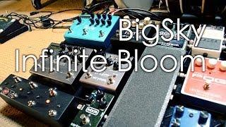 Strymon BigSky Infinite Bloom Reverb + Flint and El Capistan