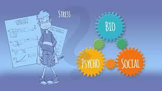 The biopsychosocial model - Explanation of chronic pain disorders