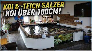 Zu Besuch bei KOI SALZER! +100cm große KOI im Becken!