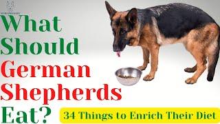 What Should German Shepherds Eat? 34 Things to Enrich Their Diet