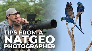 Expert Bird Photography Tips from National Geographic's Keith Ladzinski | Studio Sessions Episode 8