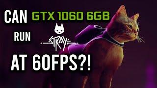 Stray on GTX 1060 6GB | Is this enough to reach 60FPS?
