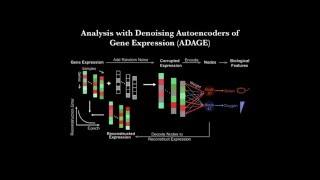 ADAGE-Based Integration of Gene Expression Data