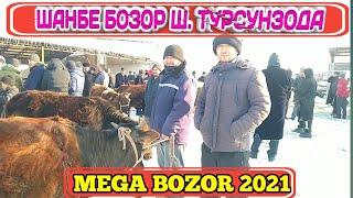 Ш. Турсунзода _ Шанбе бозор 2021 _ Мол бозор Регар #Tajikistan