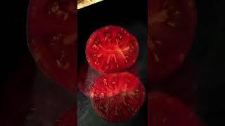 С этим томатом без урожая точно не останетесь! #помидоры#томаты#tomato