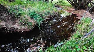 A Blackfish, Redfin And Crayfish Fishing Adventure Feat.  A Massive Brown Trout