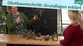 Alte Bäume richtig schneiden | MDR Garten