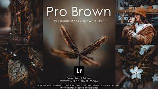 How to Edit Professional Photography | Lightroom Dark Brown Presets DNG & XMP Free Download