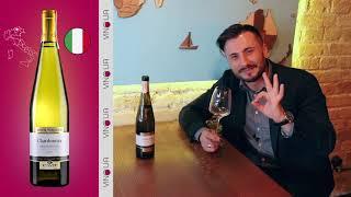 Ароматное Шардоне с Трентино Альто Адидже Cavit Mastri Vernacoli Chardonnay