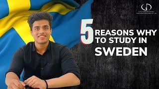 5 Reasons Why To Study In Sweden | #studyabroad #studyinsweden #sweden