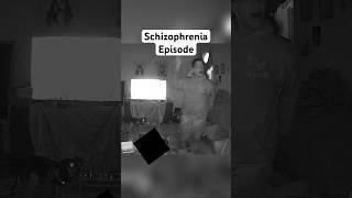 What does Schizophrenia look like?