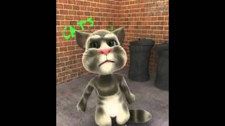 Talking Tom gone bad