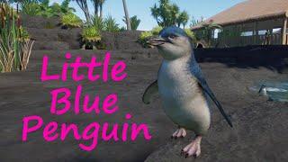 Little Blue Penguin - King Island Zoo