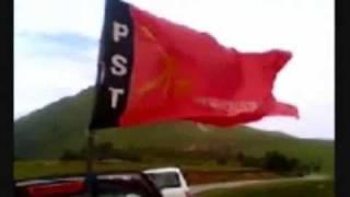 Partido Socialista de Timor Viva Socialismo
