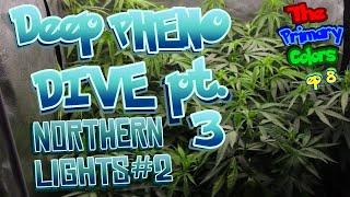 The last Phenos to Dive - NL #2 PCC EP. 8 #seedtoharvest #spiderfarmergrowtent #howigrowweed