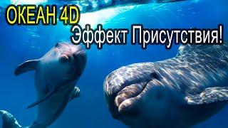 Звук Океана, песни Дельфинов и Китов. 432Гц +4d \ REAL Ocean sound, Dolphins & Whales, 432Hz + 4d