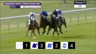 2022 Juddmonte Royal Lodge Stakes (The Foxes)