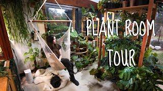 Houseplant room tour – January 2020