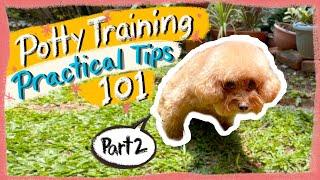 POTTY TRAINING 101: Important Tips to Speed Up Training| The Poodle Mom