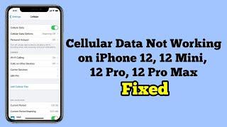 Cellular Data Not Working on iPhone 12, 12 Mini, 12 Pro, 12 Pro Max - Fixed