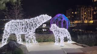 Night walk Cary Down  Town|Christamas Light Decoration |USA