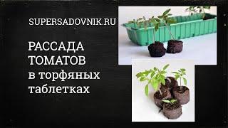 Как сажать помидоры на рассаду в торфяные таблетки