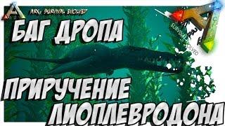 ARK  Survival Evolved - ПРИРУЧЕНИЕ ЛИОПЛЕВРОДОНА! БАГ ДРОПА! TAMING LIOPLEURODON!