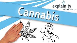 Cannabis einfach erklärt (explainity® Erklärvideo)
