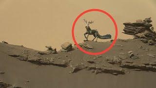 Perseverance Rover Latest Mars Images - Sol 1189 | Perseverance Rover Latest Video | Mars Images