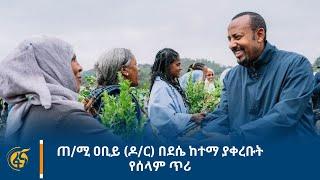 ጠ/ሚ ዐቢይ (ዶ/ር) በደሴ ከተማ ያቀረቡት የሰላም ጥሪ