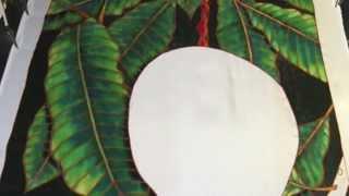 SILK PAINTING WITH JEAN-BAPTISTEM -  MANGOS