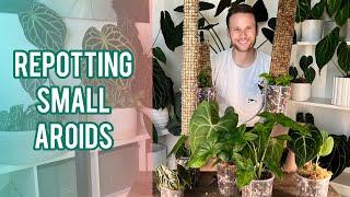 REPOT WITH ME - setting my small plants up for success - moss poles, propagating, watering etc.