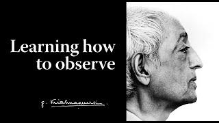 Learning how to observe | Krishnamurti