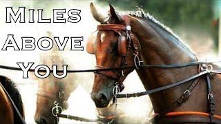 Miles Above You || Equine Driving Music Video ||