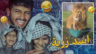 تضحك تنجلد اني وعبوسي   - مقاطع TikTok